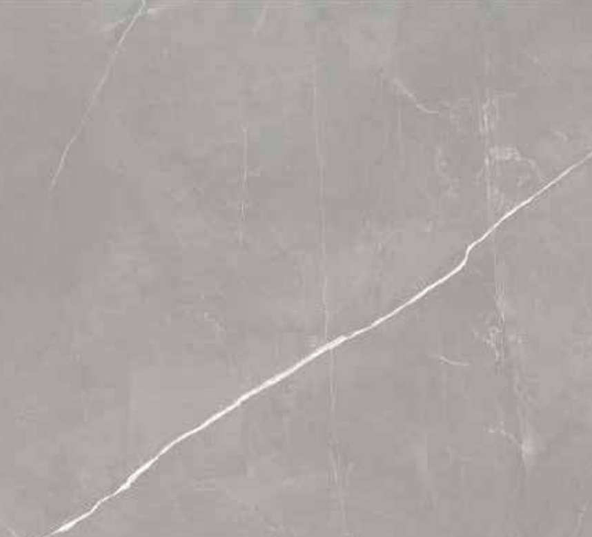 Passion - Pulpis Grey - 100x100 cm - Poli